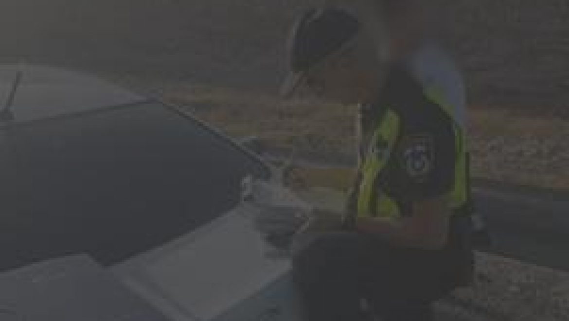 דוחות תנועה